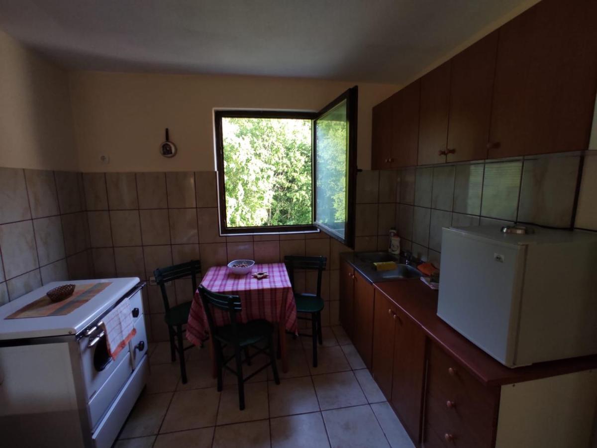 Apartmani Jana Bijelo Polje Kültér fotó