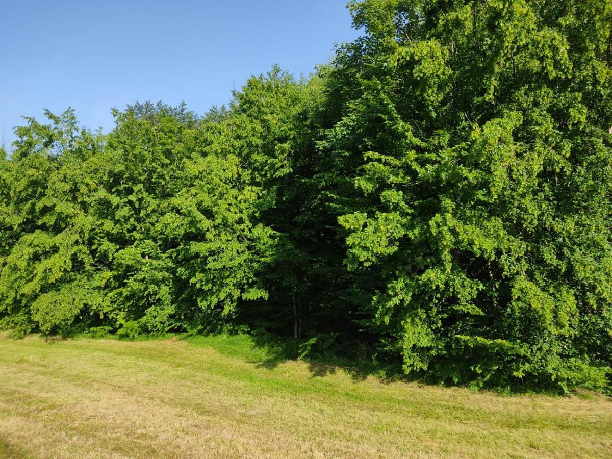 Apartmani Jana Bijelo Polje Kültér fotó