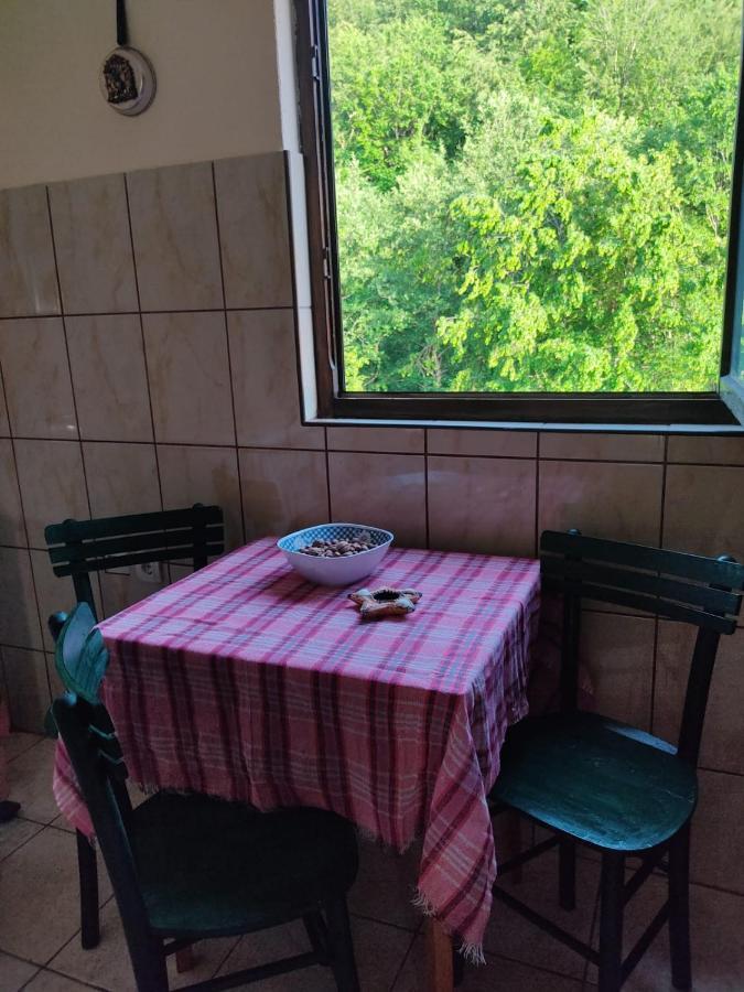 Apartmani Jana Bijelo Polje Kültér fotó